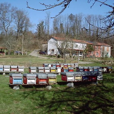 Вилла Agriturismo Ca Rossano Licciana Nardi Экстерьер фото
